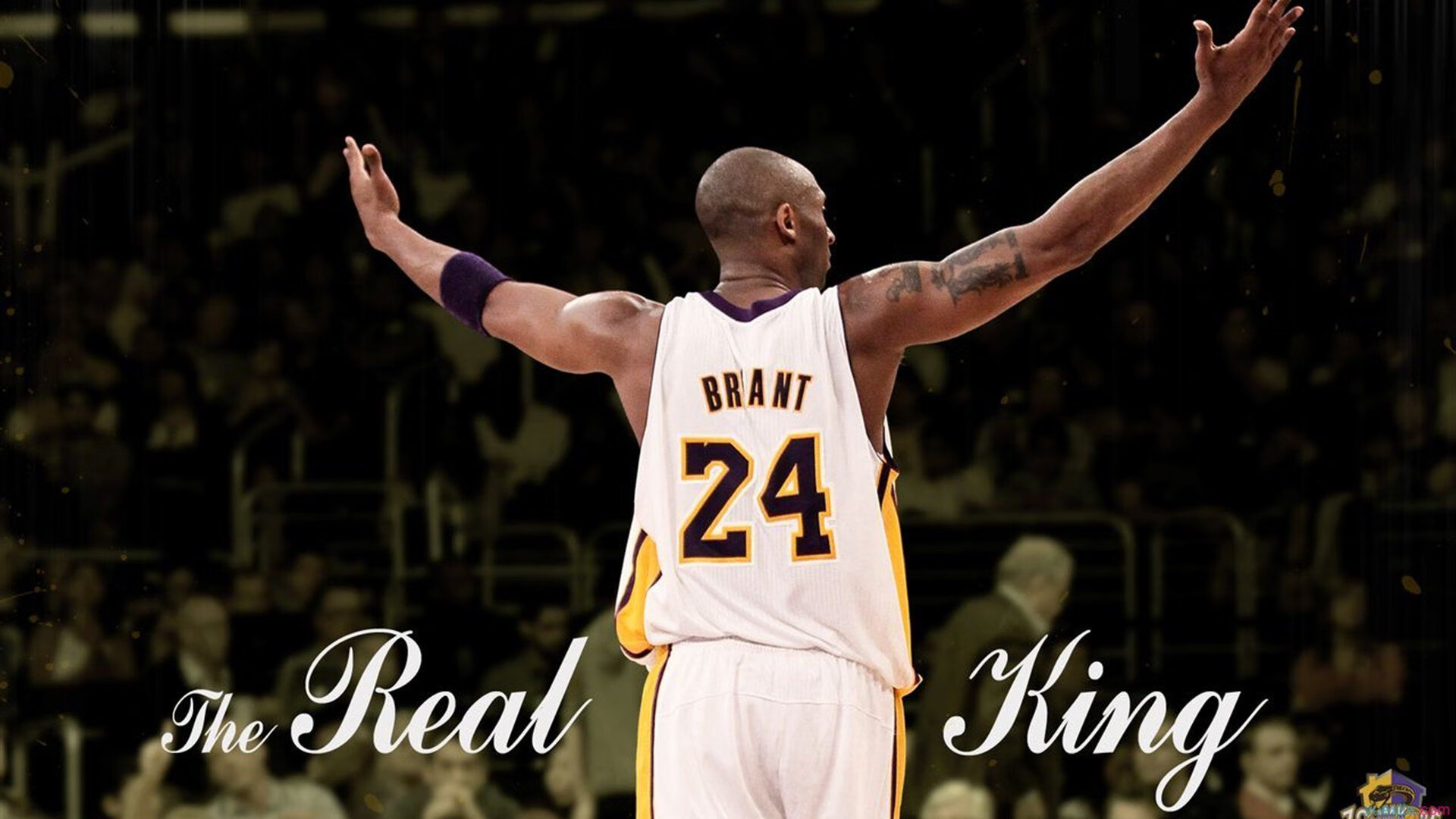 乐鱼官网-C罗是否需要世界杯？争议背后的人生抉择与足球梦想